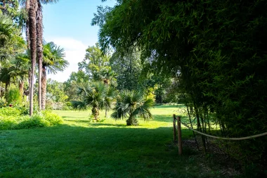 Jardin Publique de Bordeaux (2).